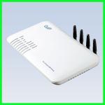The DBL GoIP-4 router with No WiFi, 1 100mbps ETH-ports and
                                                 0 USB-ports