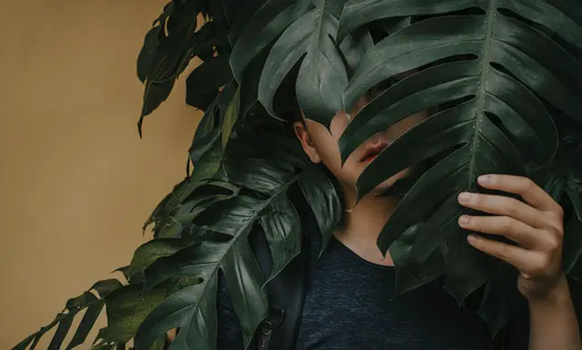 A person is hiding behind the leaves